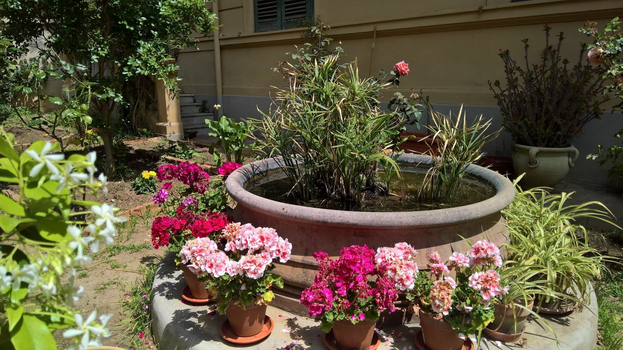 Le Rose Del Viale Hotell Palermo Exteriör bild